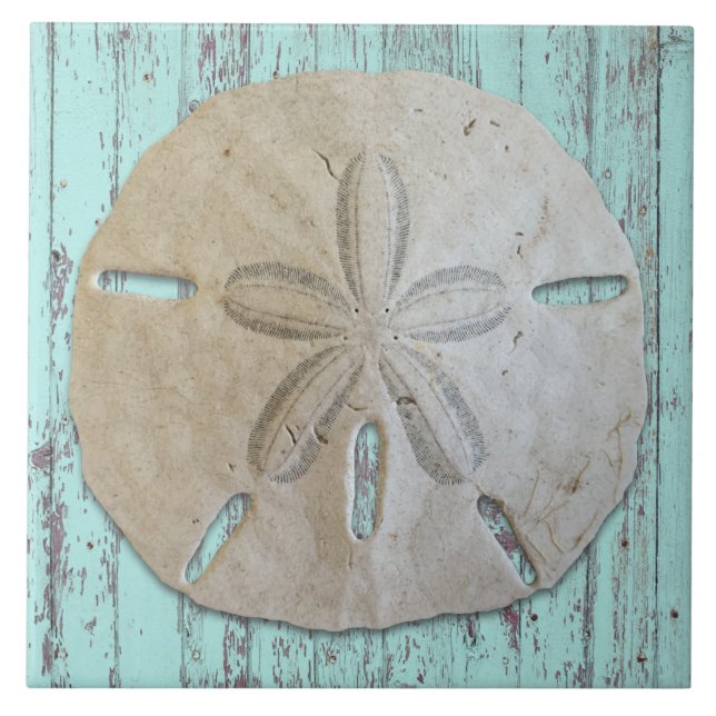 Natural Sand Dollar Rustic Beach Wood  Ceramic Tile (Front)