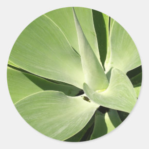 Natural Shades of Green Classic Round Sticker