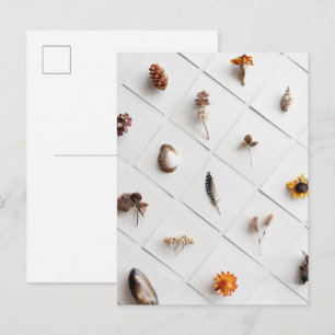 Natural Specimen Collection Minimalist Postcard
