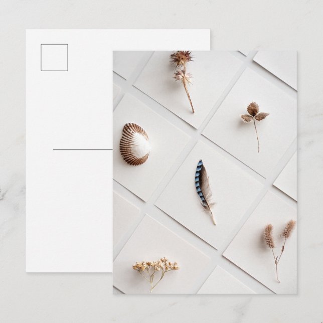 Natural Specimen Collection Minimalist Postcard (Front/Back)