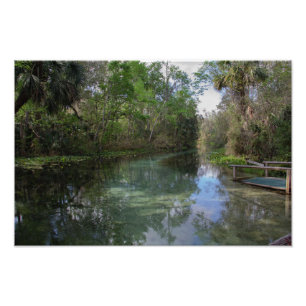Natural Springs Photo Print