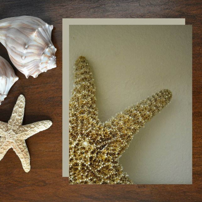Natural Starfish Coastal Beach Scrapbook Paper (Creator Uploaded)