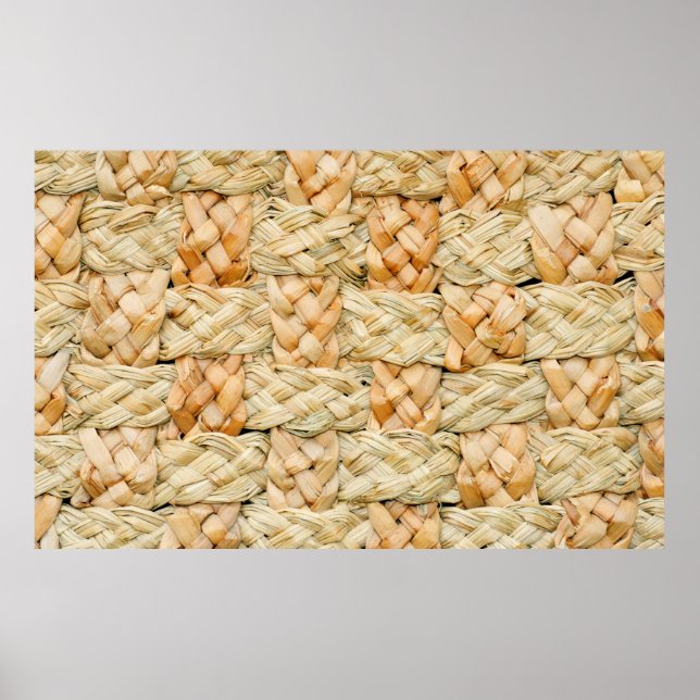 natural straw texture  poster (Front)