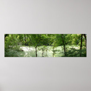 Natural Swamp Poster
