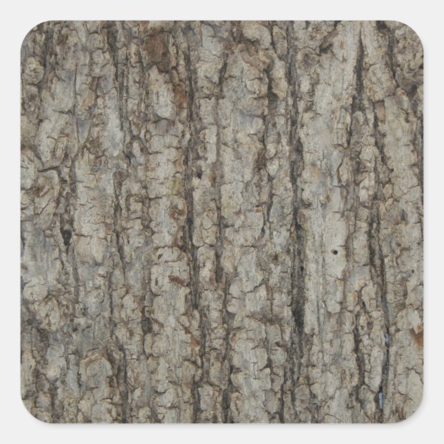 Natural Tree Bark Camo Camouflage Rustic Square Sticker (Front)