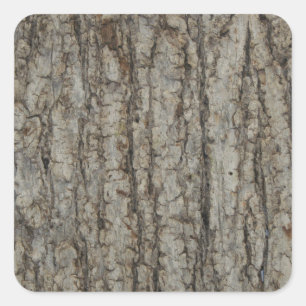 Natural Tree Bark Camo Camouflage Rustic Square Sticker
