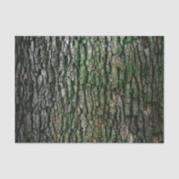 Natural tree bark texture