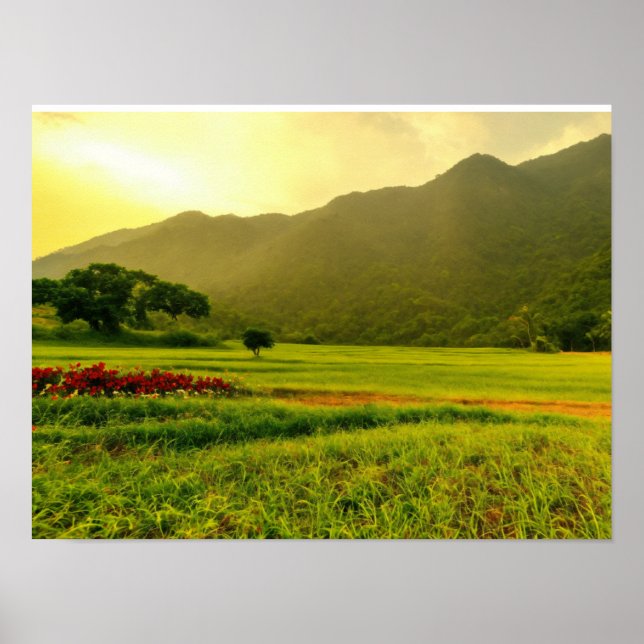 natural wallpaper designs suitable for all rooms poster (Front)