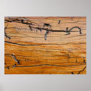 Natural wood background,  wood slice and organic t poster