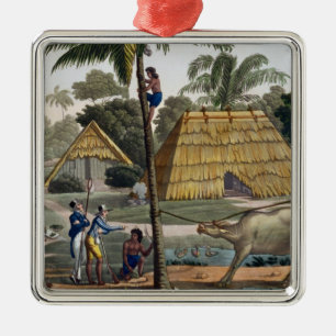 Naturalists question natives near Kupang, Timor, p Metal Ornament