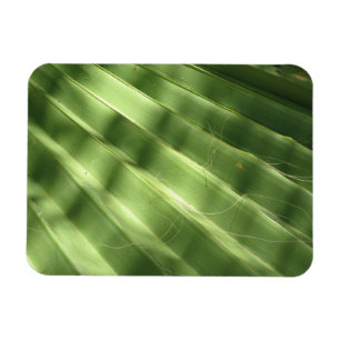 Naturally Cool Surfaces_Fluted Frond Magnet