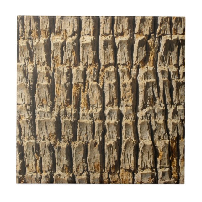 Naturally Cool Surfaces_Palm Tree Bark Ceramic Tile (Front)