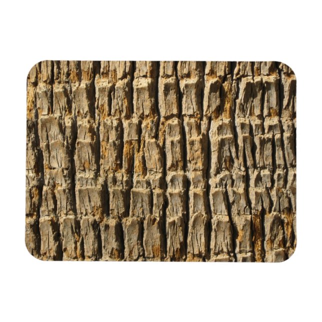 Naturally Cool Surfaces_Palm Tree Bark Magnet (Horizontal)
