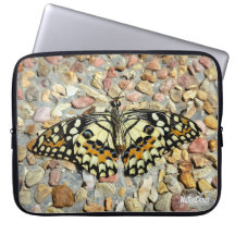 NaturCraze Beautiful Butterfly (Lime Butterfly)
