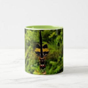 NaturCraze Black and Yellow Dragonfly Mug