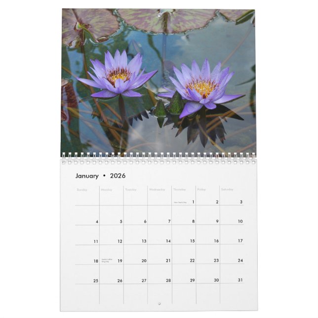 Nature 2013 calendar (Jan 2026)