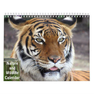 Nature and Wildlife Calendar