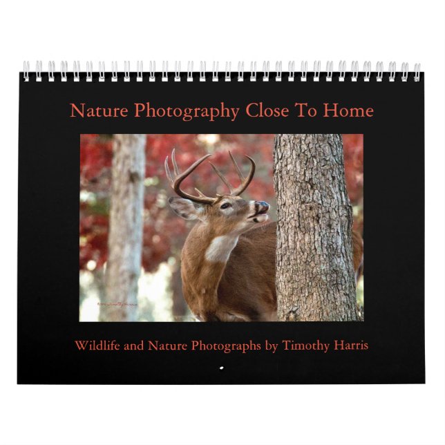 Nature and Wildlife Calendar by Timothy Harris (Cover)