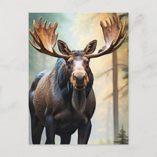 *~* Nature AP49 MOOSE Woods Forest Climb Mountain Postcard