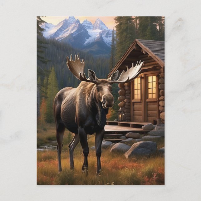 *~* Nature AP49 MOOSE Woods Forest Dusk Mountains Postcard (Front)
