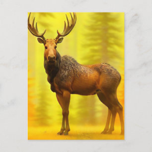 *~* Nature AP49 MOOSE Woods Forest Fall Yellow Sun Postcard