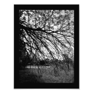 Nature Art Photo Print