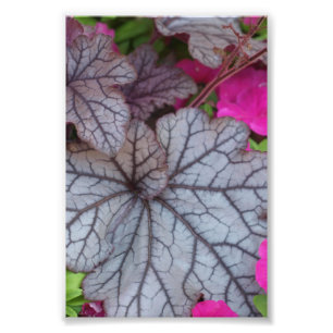 Nature Art Photo Print