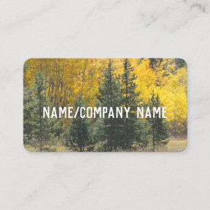nature art pine and aspen fall landscape photo business card