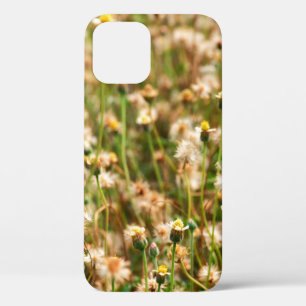 Nature background with grass flowerbackground, bea iPhone 12 case