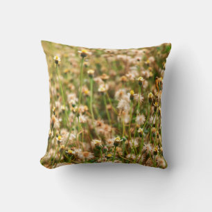 Nature background with grass flowerbackground, bea cushion