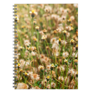 Nature background with grass flowerbackground, bea notebook