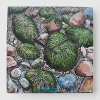 Nature Beach Rocks Modern