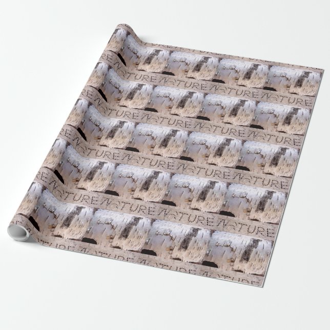 Nature Birch Bark Wrapping Paper (Unrolled)