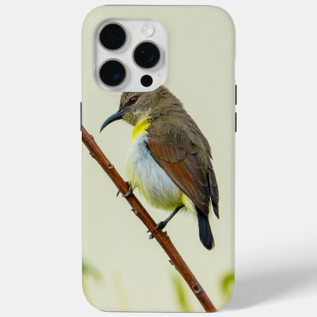 Nature Bird Phone Case (Back)