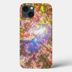  Nature blooms flowers light bloom sun iPhone 13 Case