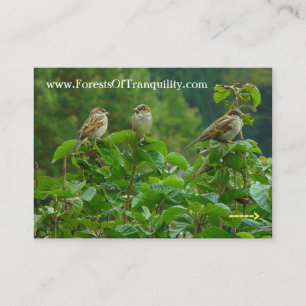 Nature business card