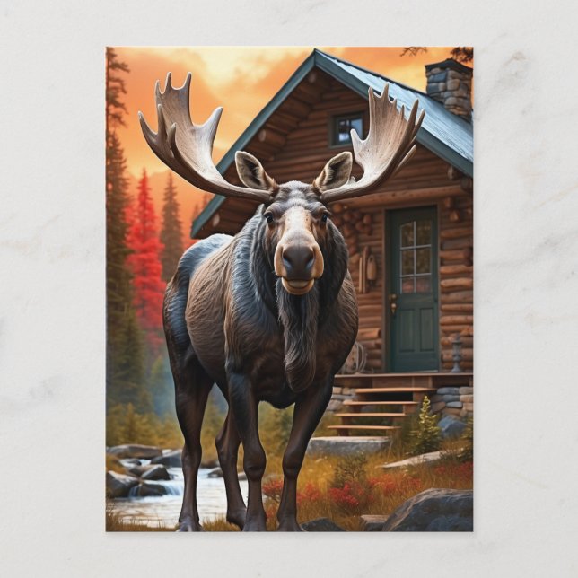 *~* Nature Cabin STREAM AP49 MOOSE Forest  Postcard (Front)