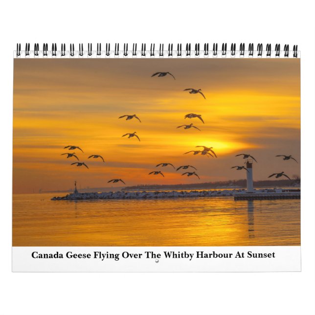 Nature Calendar For 2023 (Cover)