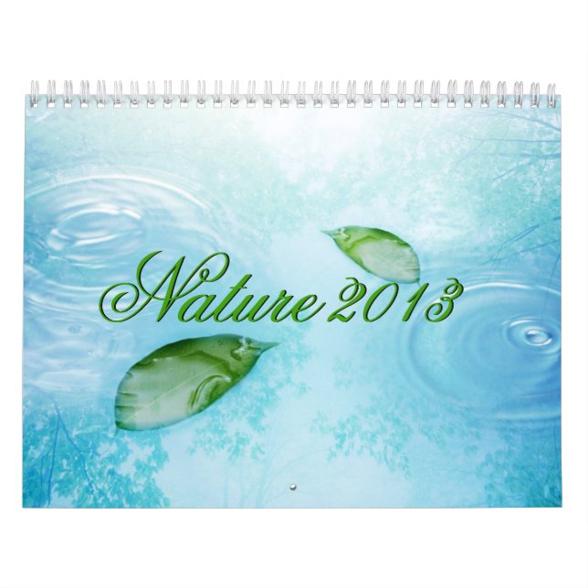 Nature Calendar - Water, Sky and Leaves 2013 (Cover)