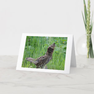 Nature Climate Note Card