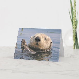 Nature Climate Note Card