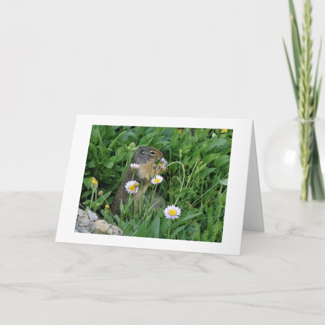 Nature Climate Note Card (Front)