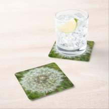 Nature Coasters