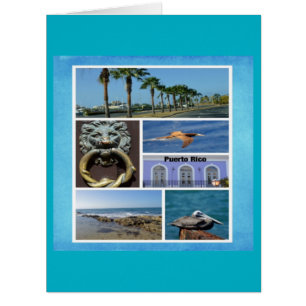 Nature collage of San Juan, Puerto Rico