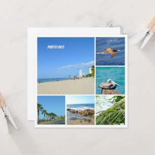 Nature collage of San Juan, Puerto Rico