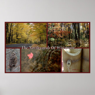 Nature Collage Print Northwoods Wisconsin Seasonal