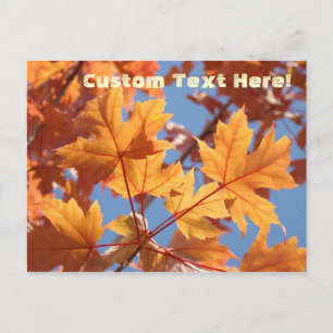 Nature Custom Text Postcards Fall Tree Leaves