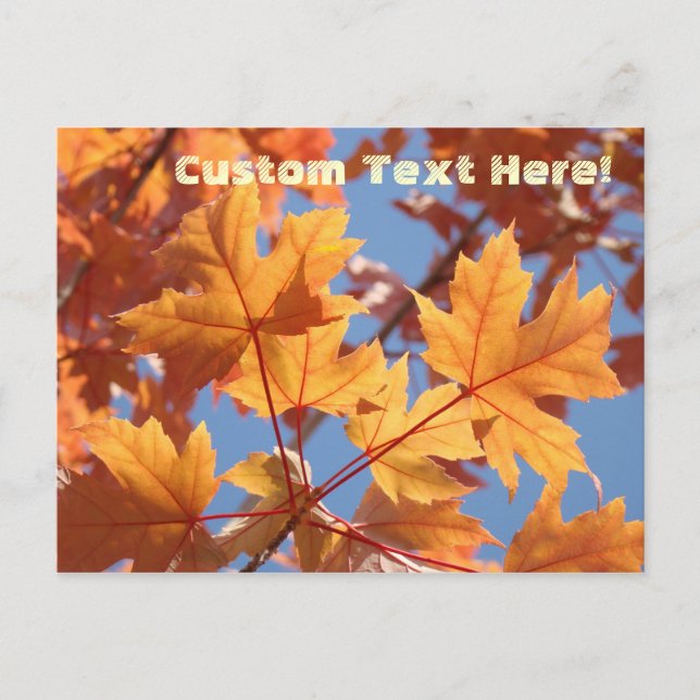 Nature Custom Text Postcards Fall Tree Leaves (Front)