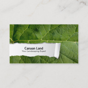 Nature Customisable Leaf Closeup Business Card