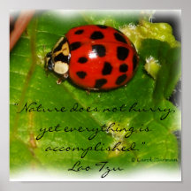 Nature Does Not Hurry Poster